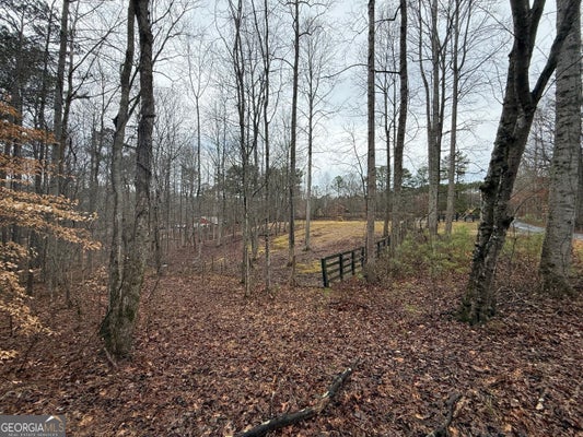 1666 ROCK SPRINGS LN, WOODSTOCK, GA 30188 - Image b62ec3cf7b652a7fc9cfb77ad1c3d154/2833637124
