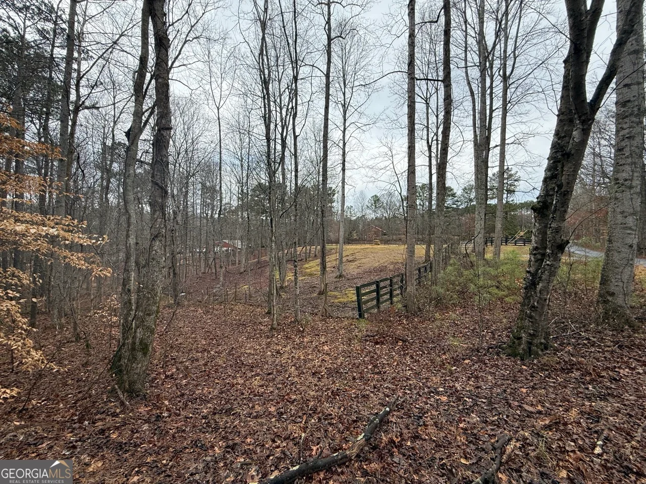 1666 Rock Springs Lane
