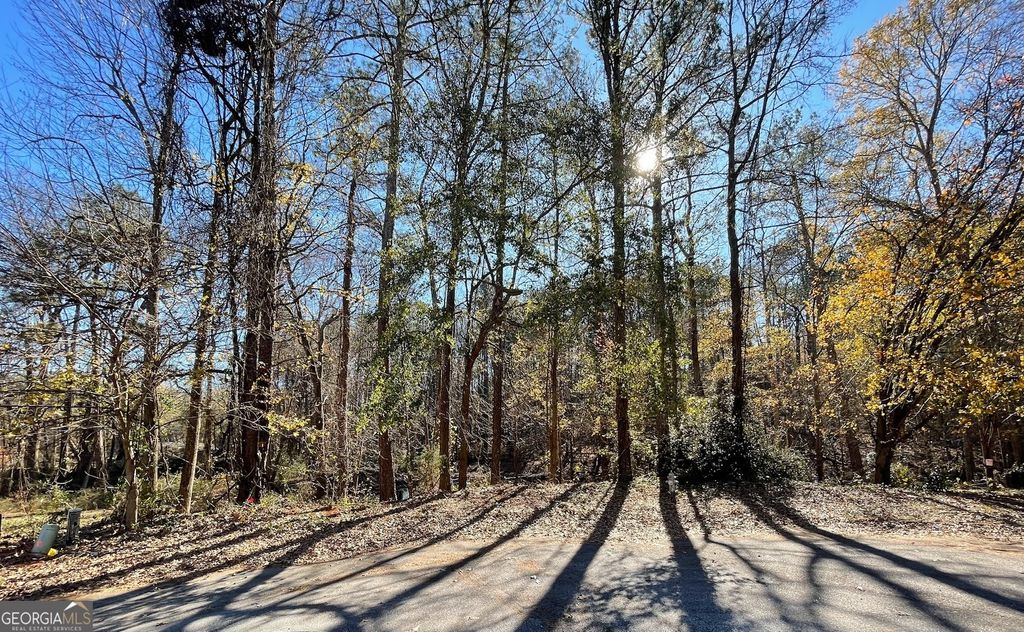 Photo of 0 Woods Lane, Jonesboro, GA 30236 (MLS # 10664824)