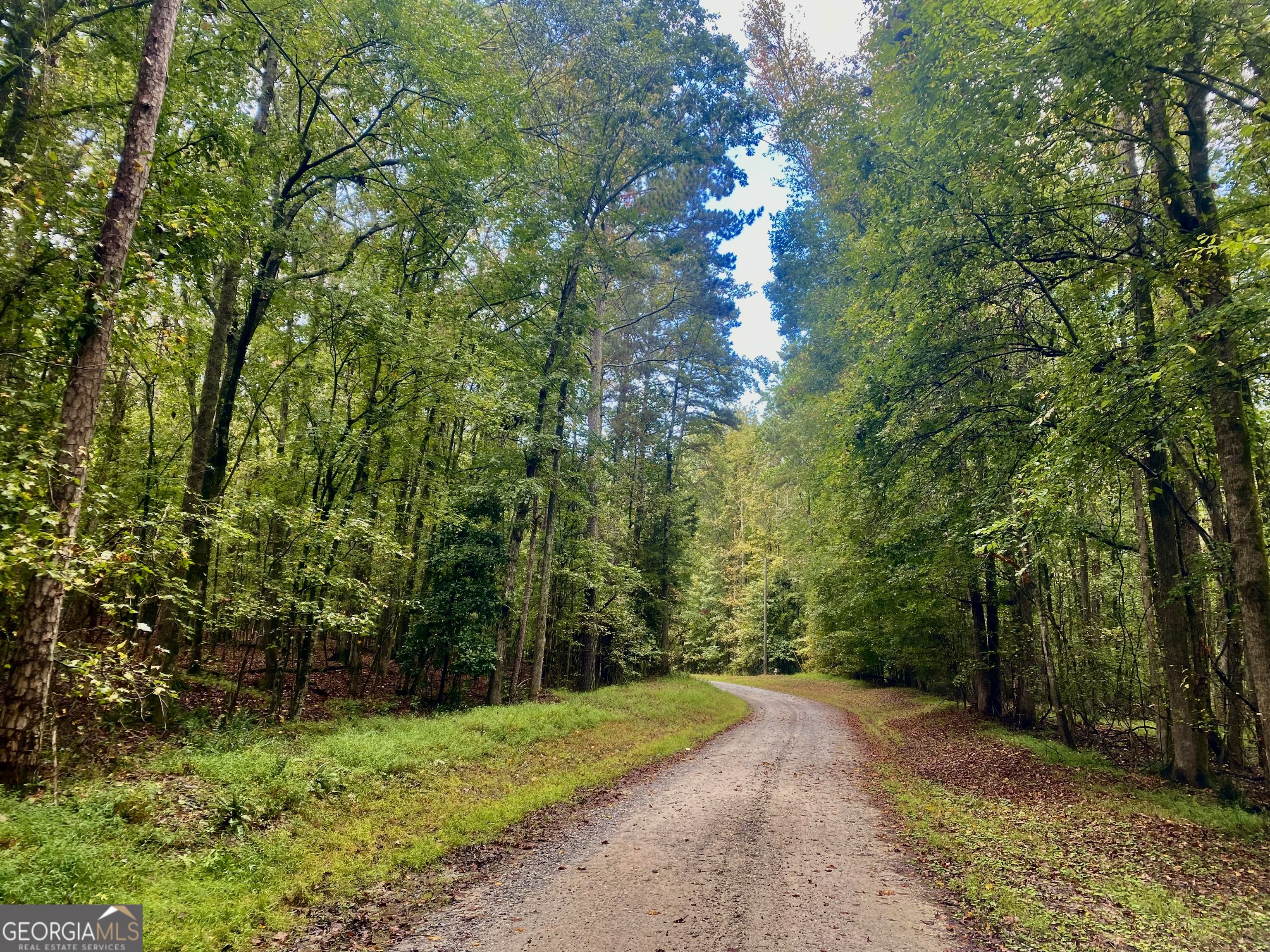 290 Poplar Creek RD