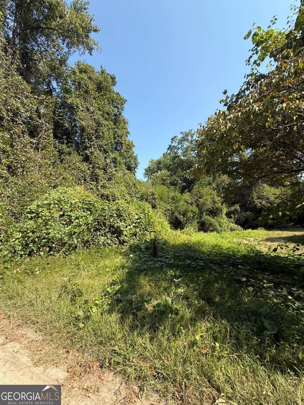 Photo of 0 NW LOTUS Avenue, Atlanta, GA 30318 (MLS # 10688089)