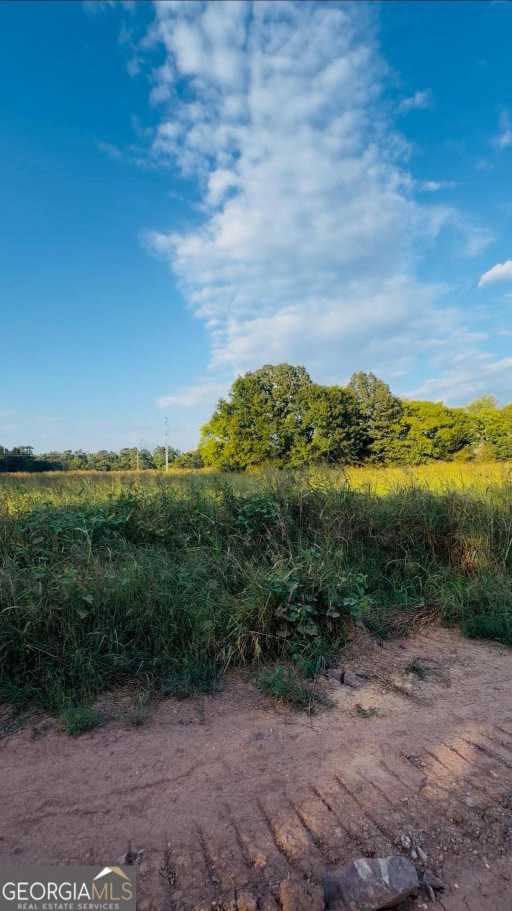 Photo of 474 Mcdaniel Station Road, Calhoun, GA 30701 (MLS # 10847547)
