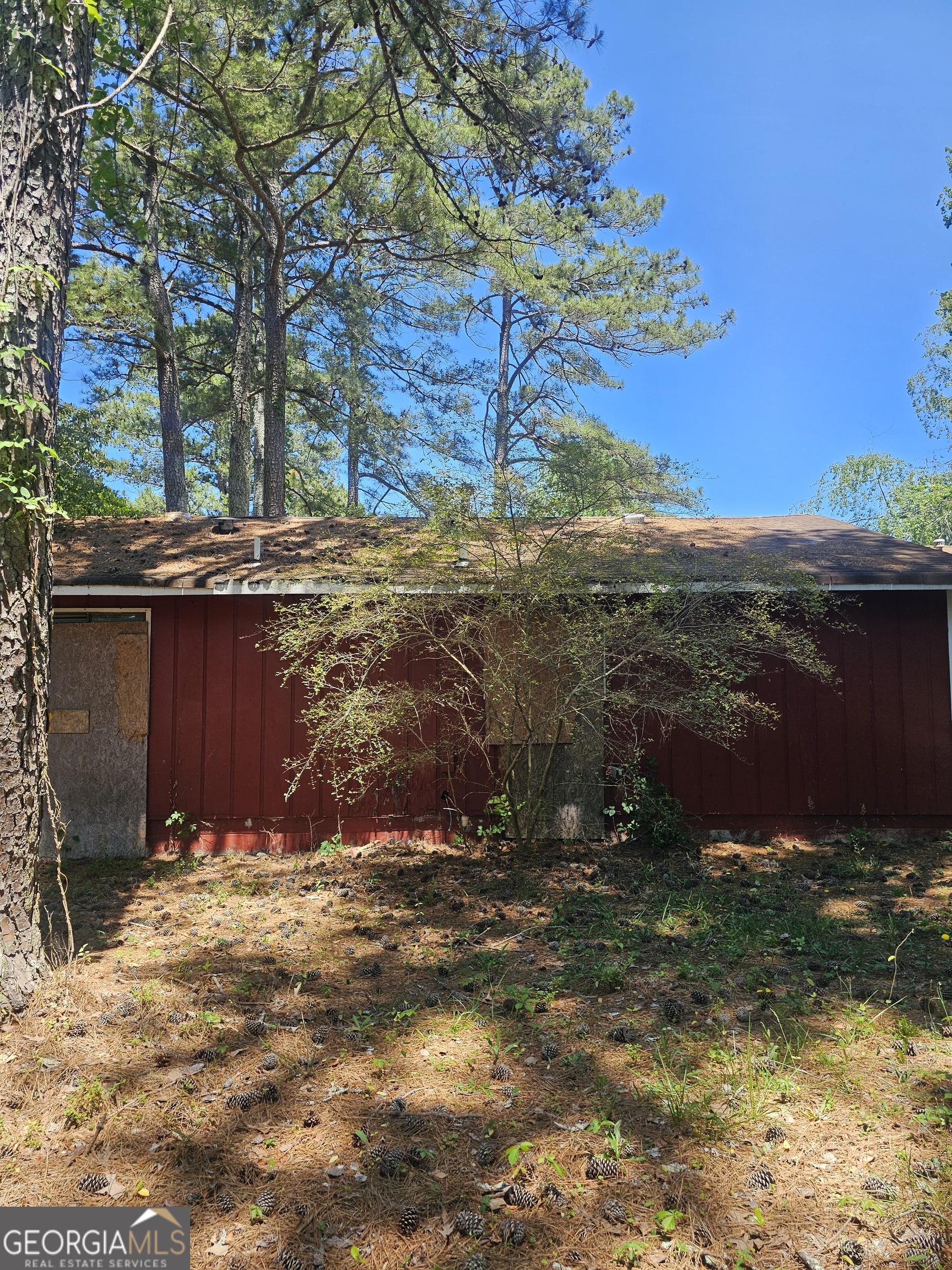 167 Iris CT