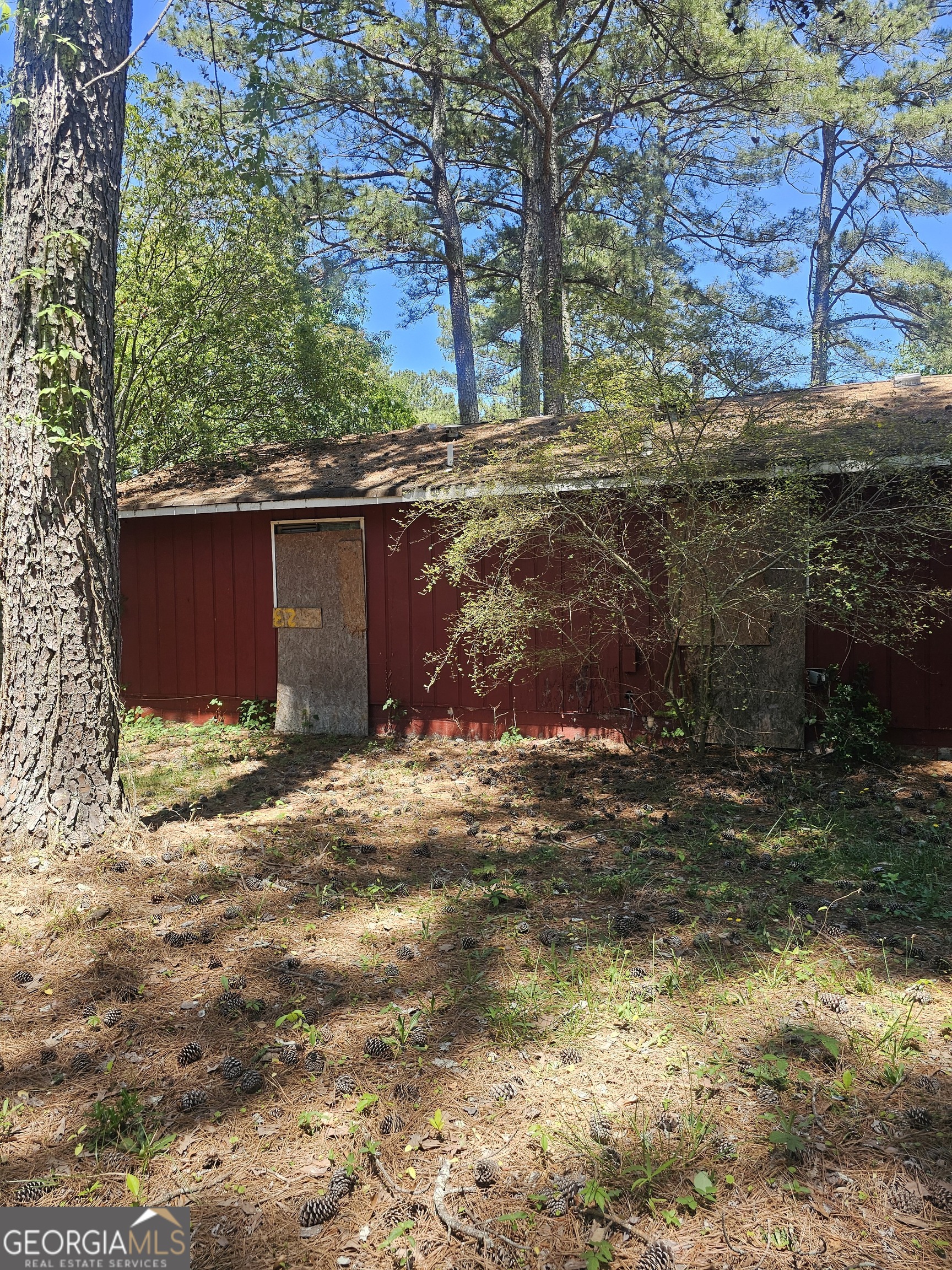167 Iris CT
