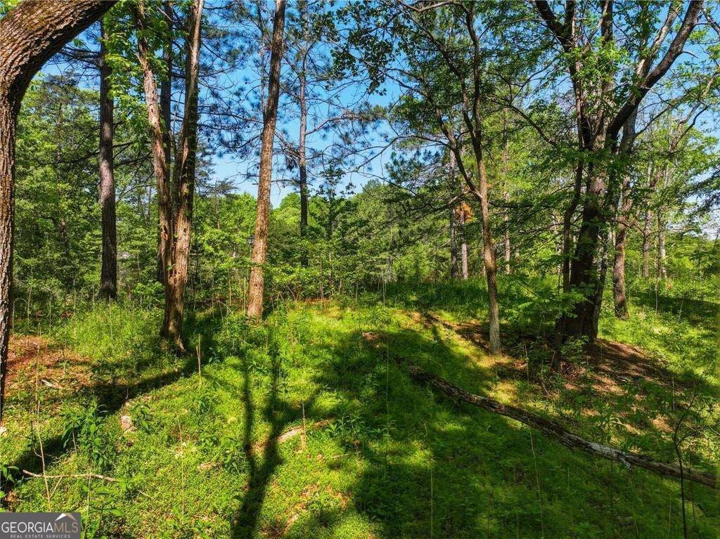 LOT 5 Summit DR