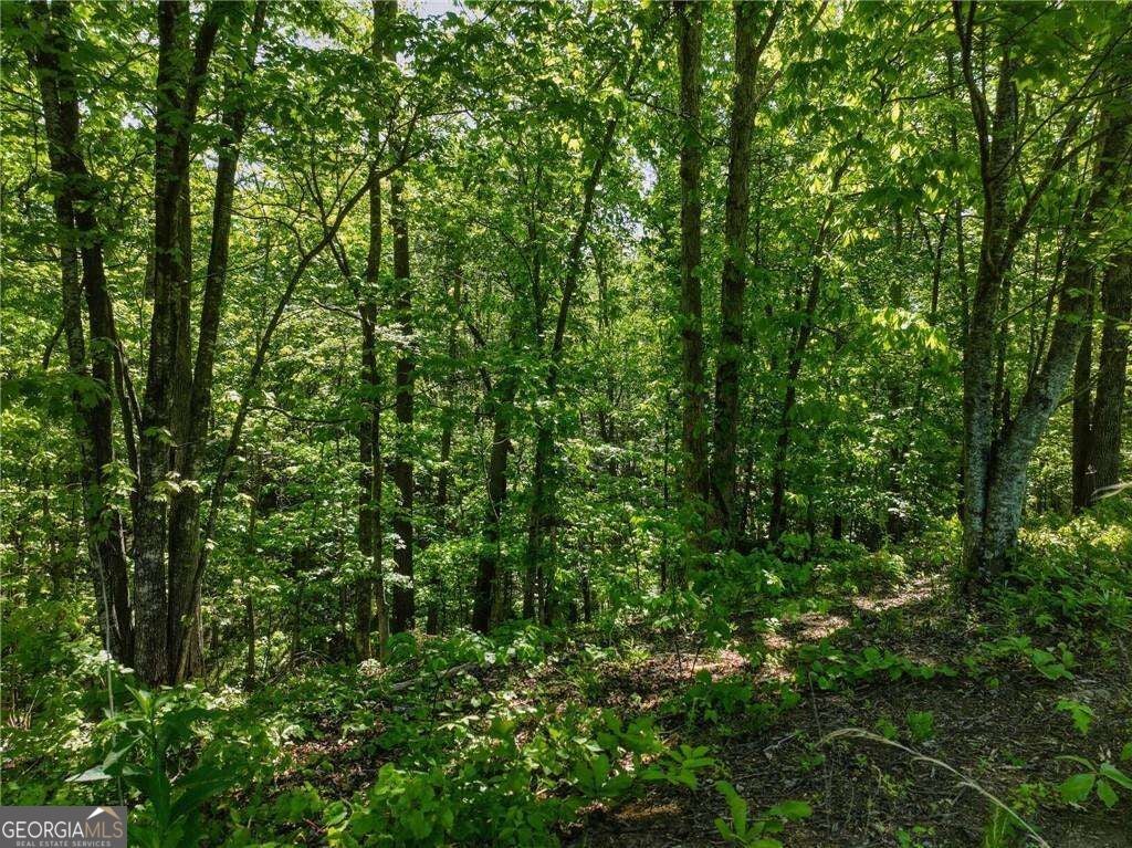 LOT 5 Summit DR