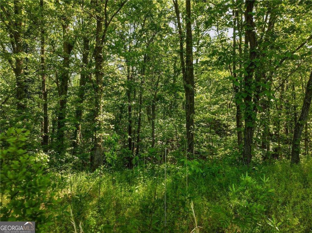 LOT 5 Summit DR