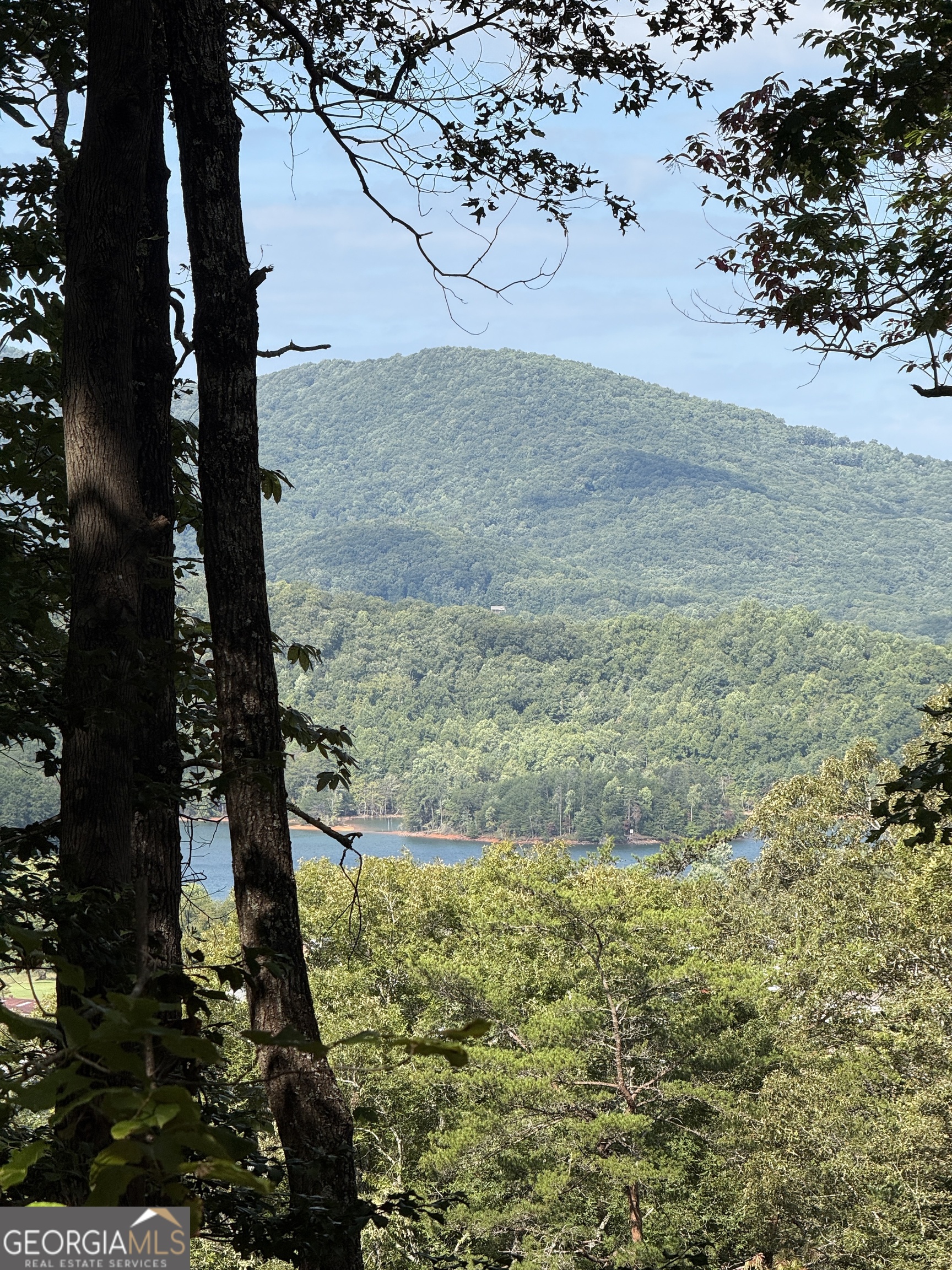 LOT 1 Whiskey Mountain Estates