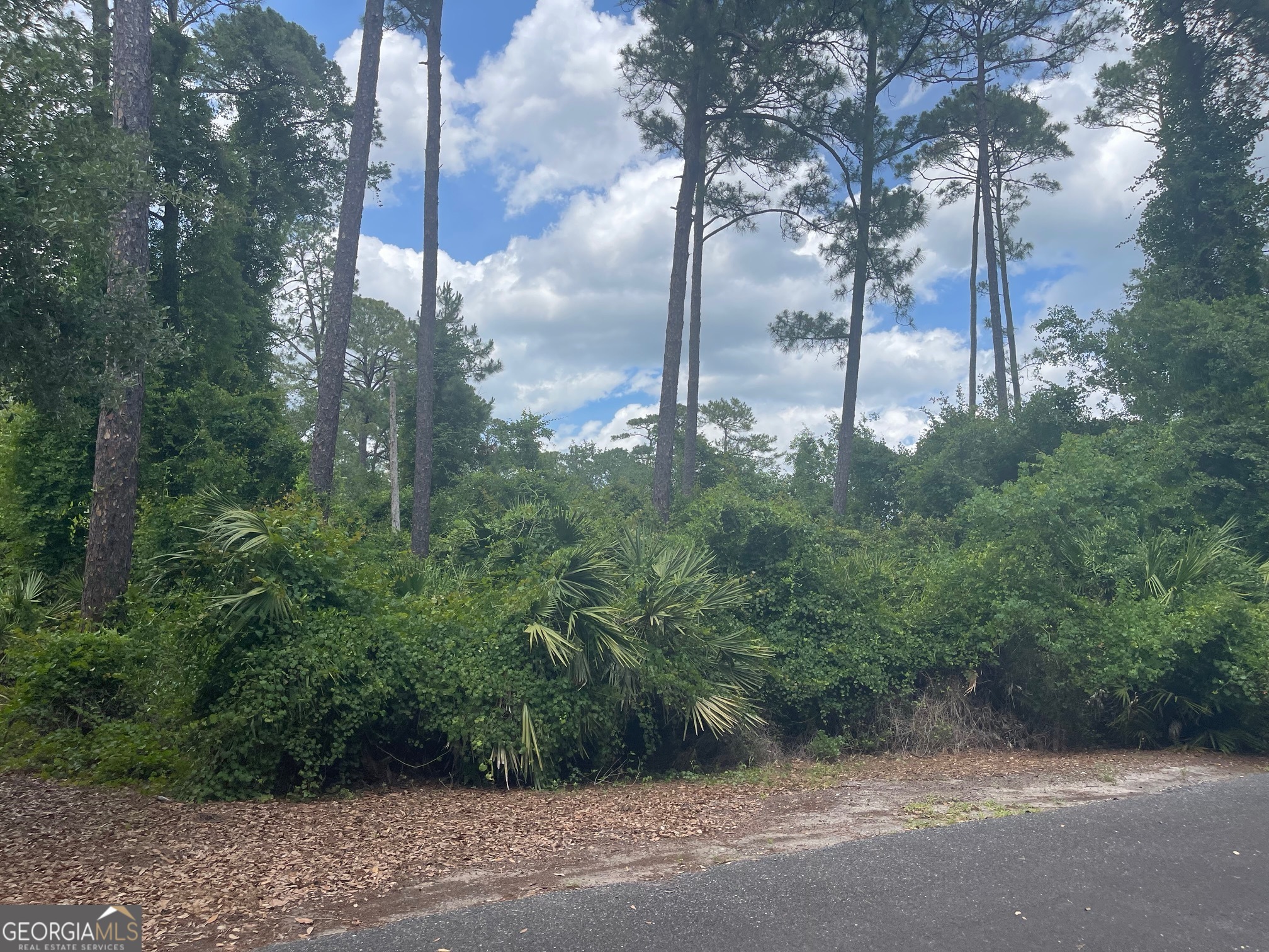 Beautiful gated community lot. Enjoy swimming pools, pavilion with fireplace, tennis/pickle ball courts, basketball court, fitness center and many more amenities to enjoy with family and friends. One of the most sought after communities in Coastal Georgia. Cumberland Harbour is located minutes from the historic downtown of St. Marys. Convenient to Jacksonville airport. Build your dream home surrounded with resort style amenities. Real estate agent must accompany for entrance into gated community.