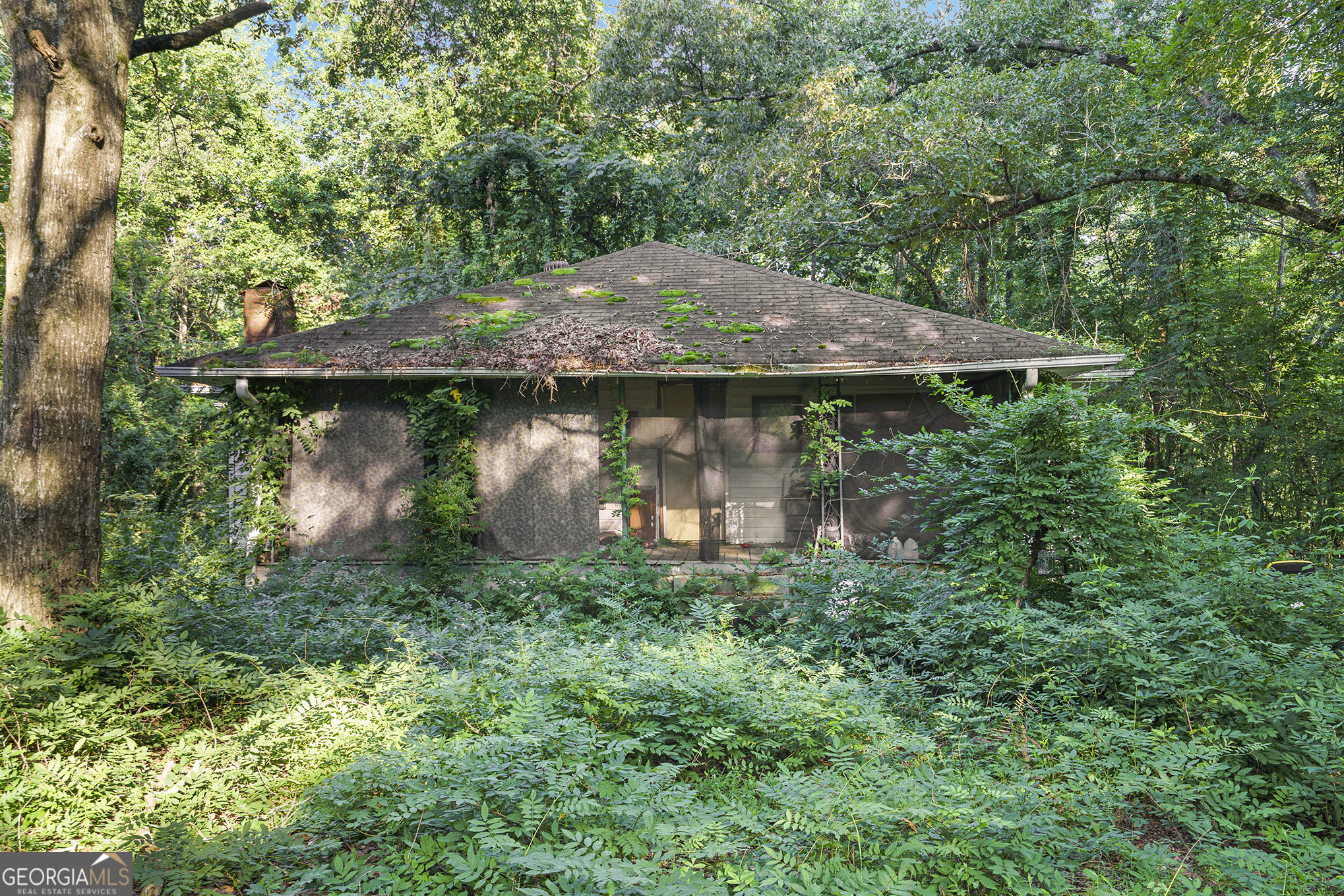 This 2-bedroom, 1-bathroom home sits on a beautiful 2-acre lot and is ready for your vision. With plenty of space to expand or build, this property offers endless potential. Whether you're looking to renovate for yourself or invest, this is your chance to own a peaceful piece of land in Paulding County. The house has a good structure, foundation and roof. Bring your ideas and make it your own!