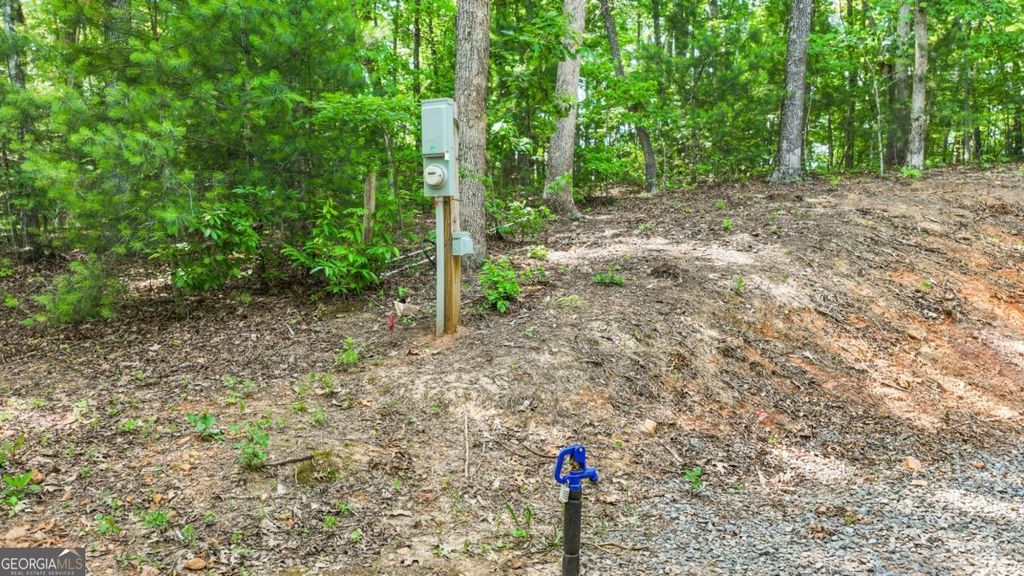 Photo of 103 Hibiscus Lane, Blue Ridge, GA 30513 (MLS # 10726986)