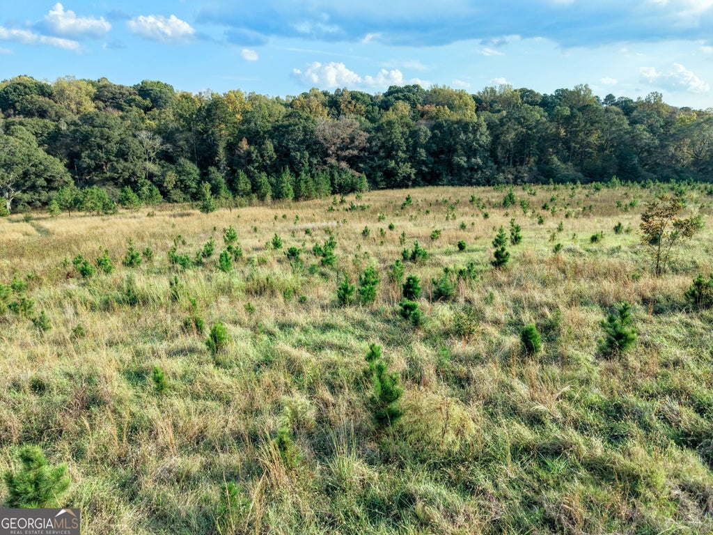 Photo of 837 Moon Bridge Road, Winder, GA 30680 (MLS # 10879312)