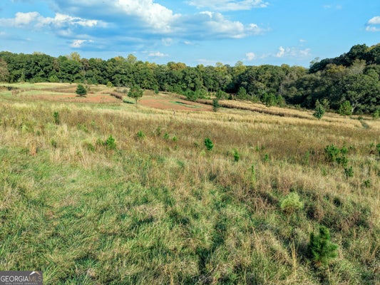 837 MOON BRIDGE ROAD, WINDER, GA 30680 - Image b68b717249a64b53bfecd163b05cf597/2811647687