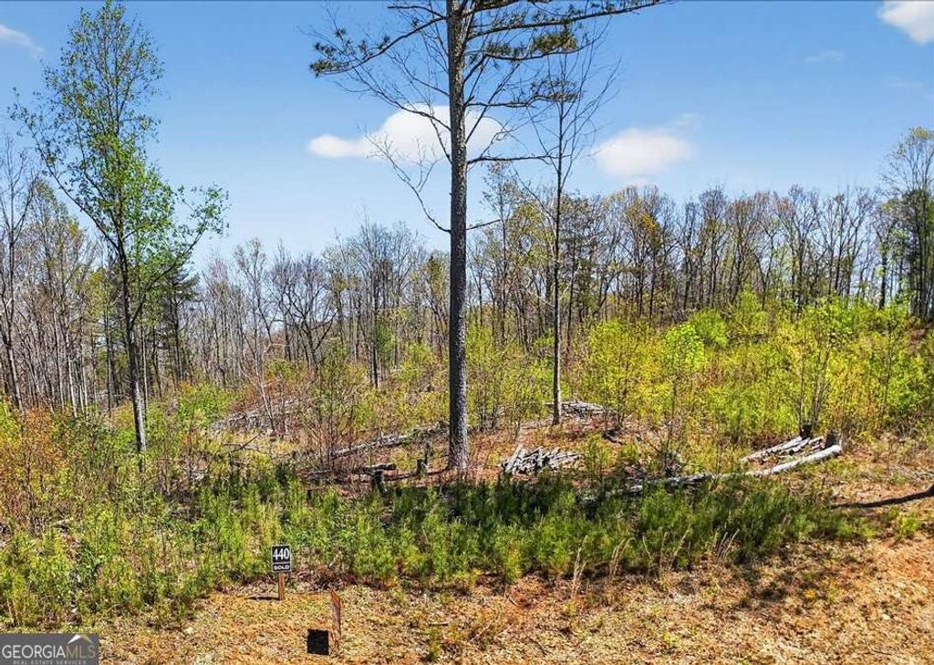 Photo of 0 Twisted Oak Road, Talking Rock, GA 30175 (MLS # 10729379)