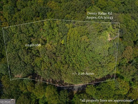 Photo of 0 Denny Ridge Road, Jasper, GA 30143 (MLS # 10622867)