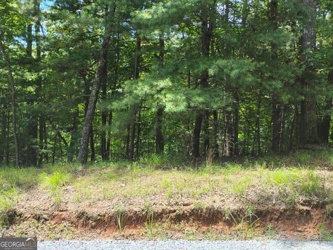 Photo of 0 Crystal Lane #3284, Ellijay, GA 30540 (MLS # 10809956)