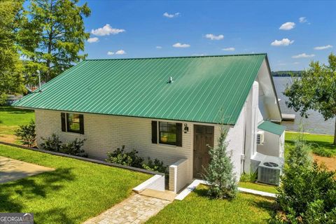 376 N Spring Creek CIR Cobb GA 31735