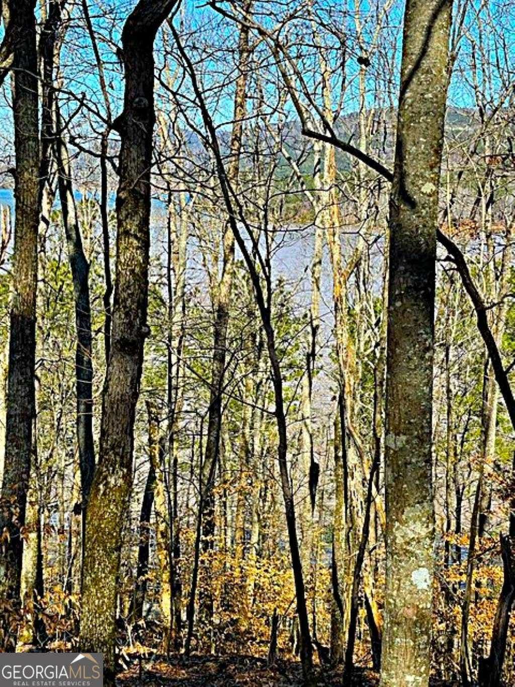 Photo of 0 Overlook Drive, Chatsworth, GA 30705 (MLS # 10821792)