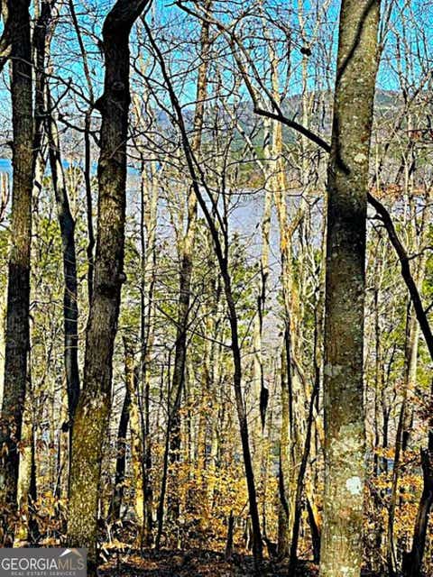 Photo of 0 Overlook Drive, Chatsworth, GA 30705 (MLS # 10821792)