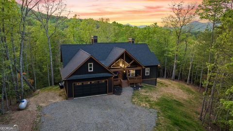 595 Arp RD Mineral Bluff GA 30559