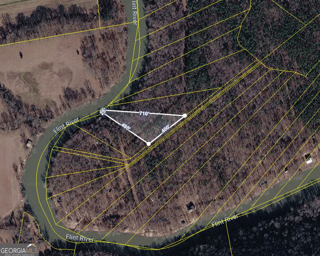 Photo of 232 Flint River Road, Molena, GA 30258 (MLS # 10735816)