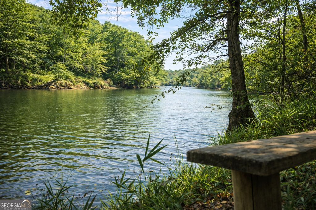 Photo of 232 Flint River Road, Molena, GA 30258 (MLS # 10735816)