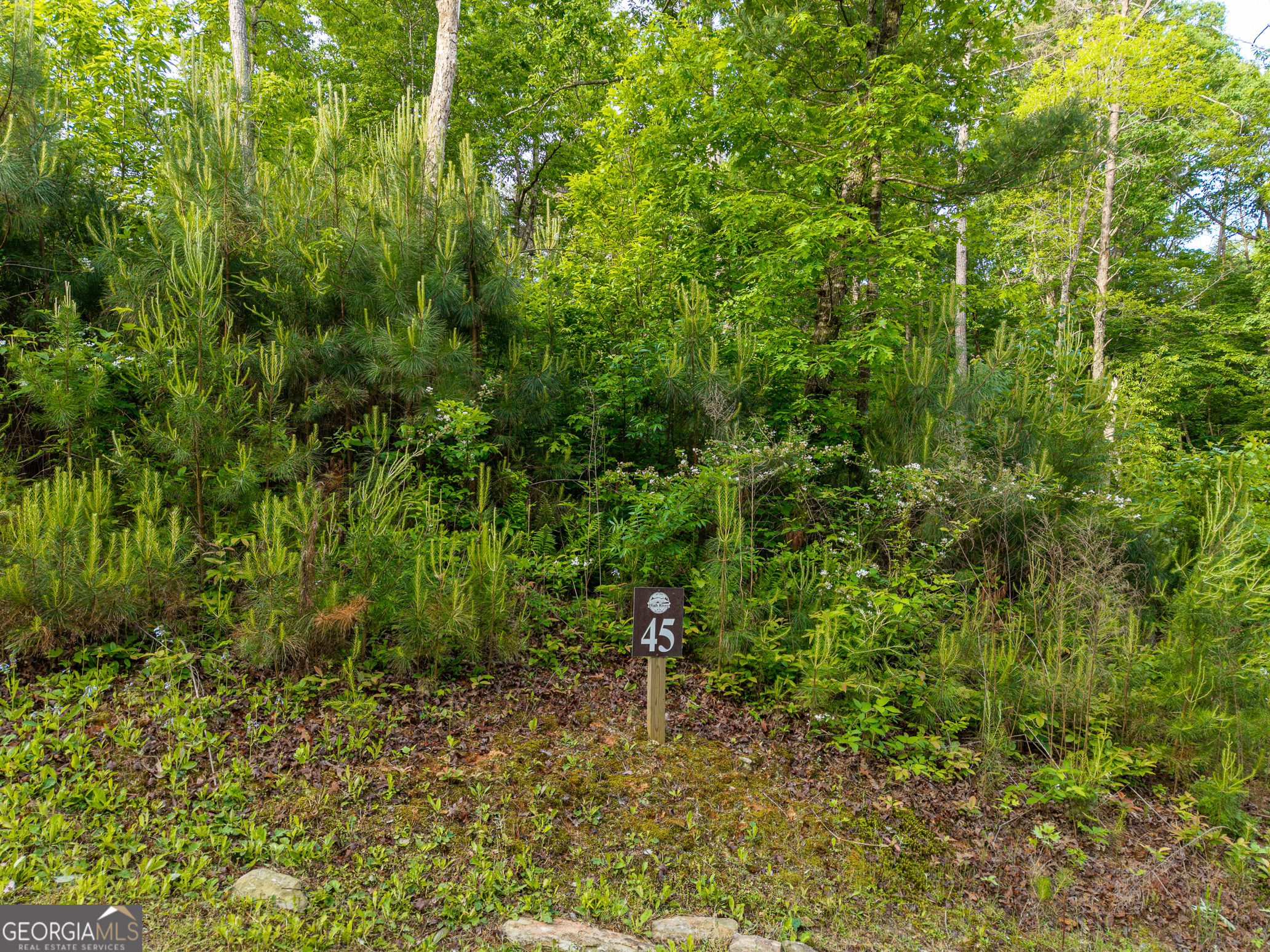 LOT 45 Hilton DR