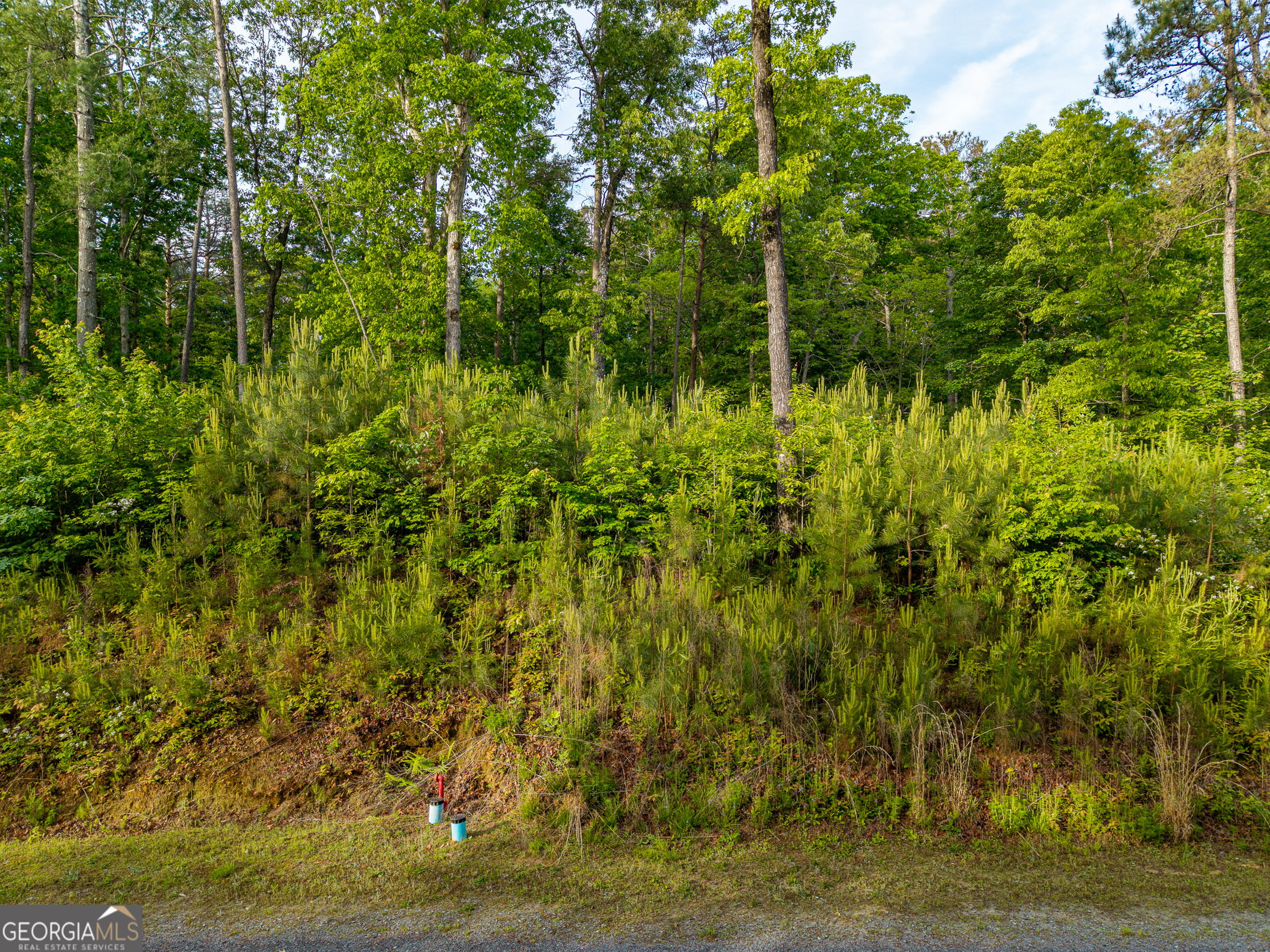 LOT 45 Hilton DR