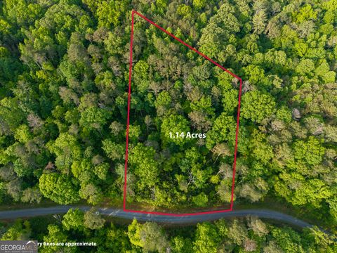 Photo of 45 Hilton Drive, Ellijay, GA 30540 (MLS # 10760664)