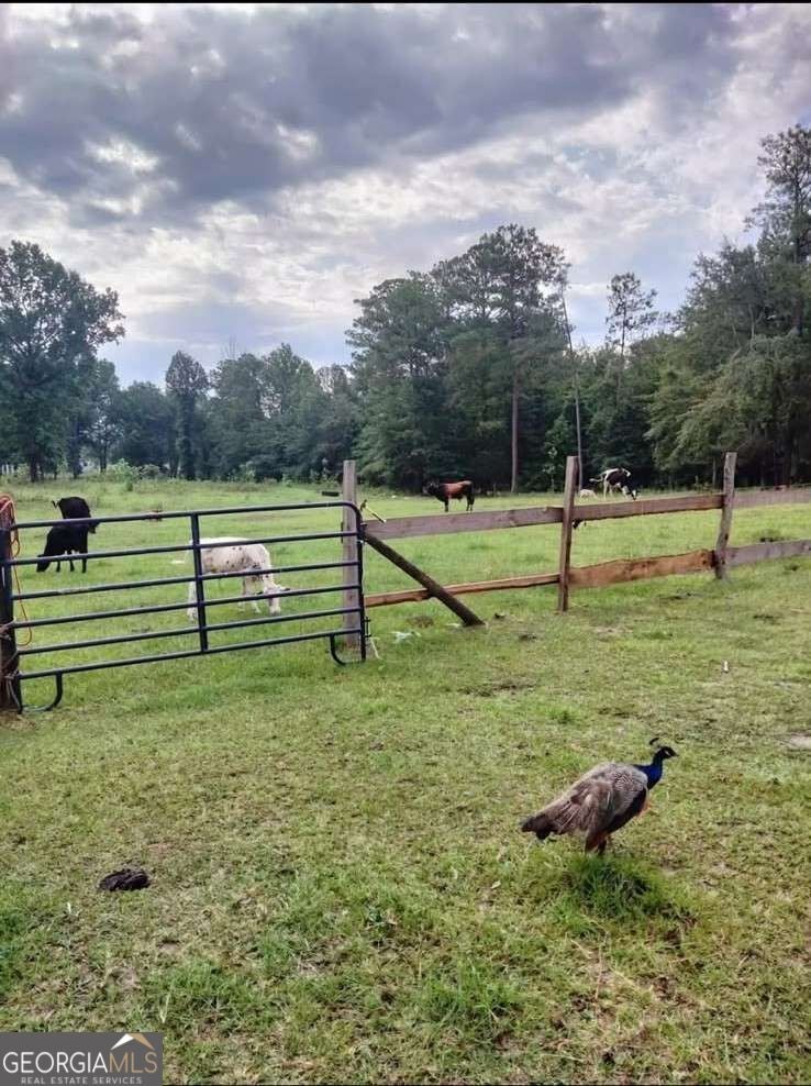 Photo of 0 Zenith Mill Road, Roberta, GA 31078 (MLS # 10851885)