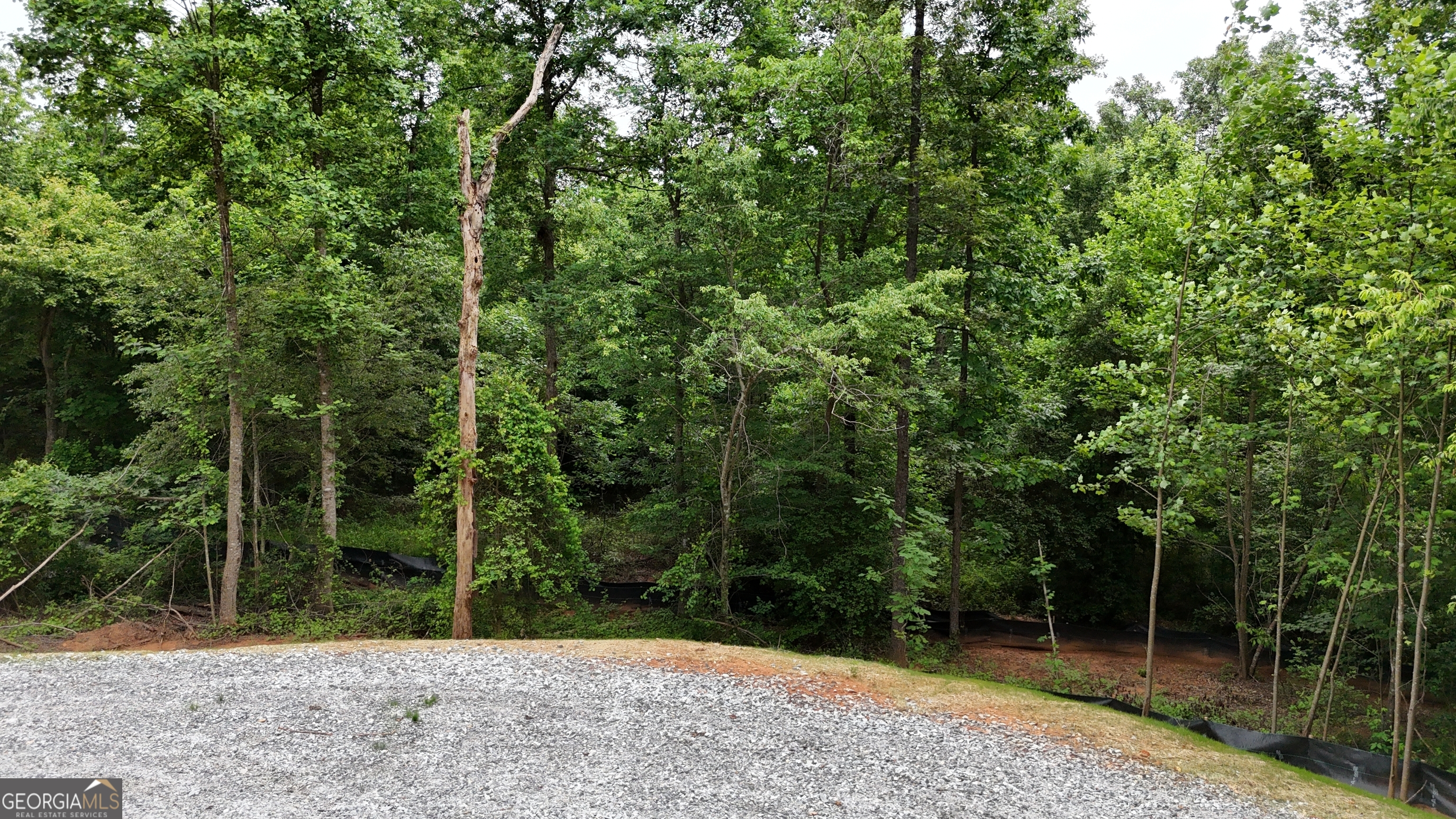 3.18 ACRES Garrison RD