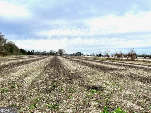 Brooklet, Georgia 30415, United States, ,Commercial,Active,67431