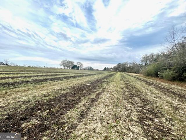 Brooklet, Georgia 30415, United States, ,Commercial,Active,67431