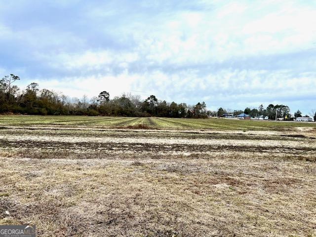 Brooklet, Georgia 30415, United States, ,Commercial,Active,67431