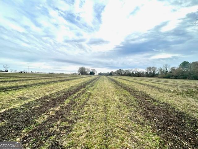 Brooklet, Georgia 30415, United States, ,Commercial,Active,67431