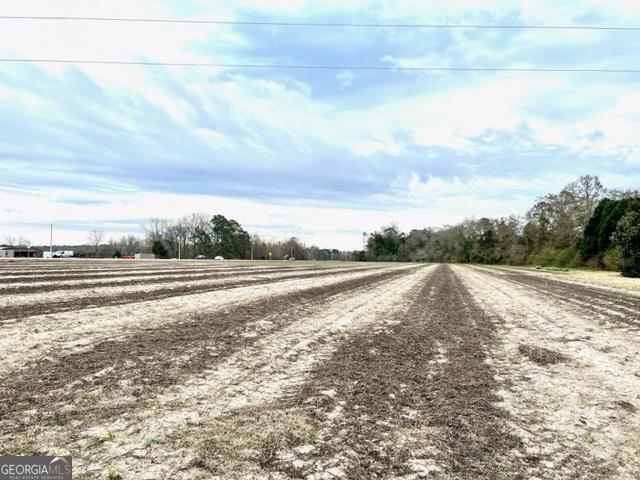 Brooklet, Georgia 30415, United States, ,Commercial,Active,67431