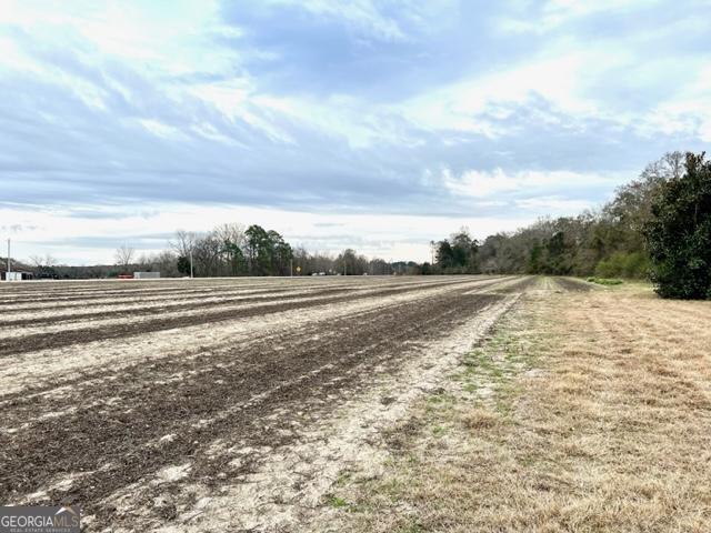 Brooklet, Georgia 30415, United States, ,Commercial,Active,67431