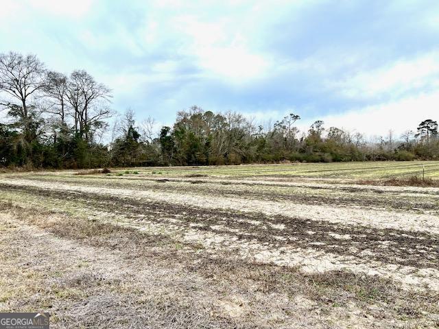 Brooklet, Georgia 30415, United States, ,Commercial,Active,67431