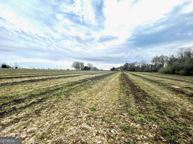 Brooklet, Georgia 30415, United States, ,Commercial,Active,67431