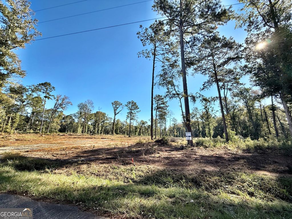 Photo of 283 Lower Simmons Road, Macon, GA 32220 (MLS # 10624689)