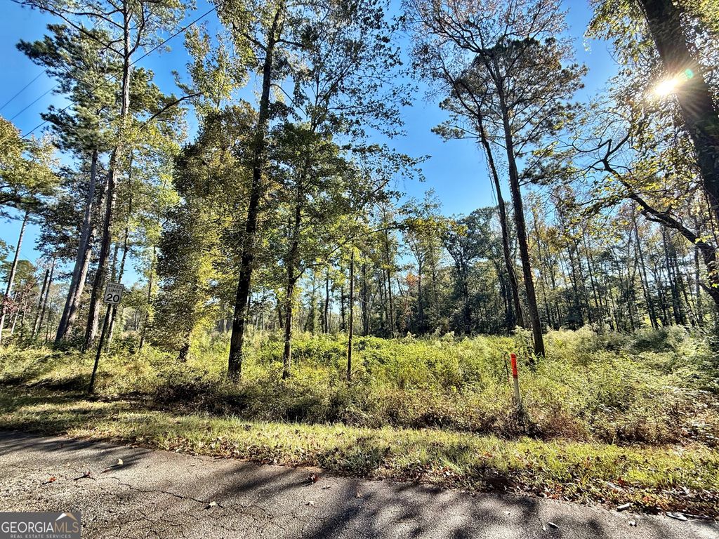 Photo of 283 Lower Simmons Road, Macon, GA 32220 (MLS # 10624689)