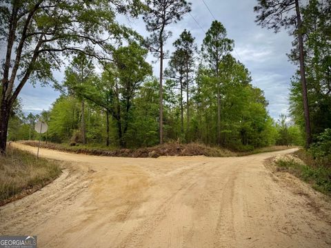 Photo of 1310 Outlaw Grove Way, Soperton, GA 30457 (MLS # 10726456)