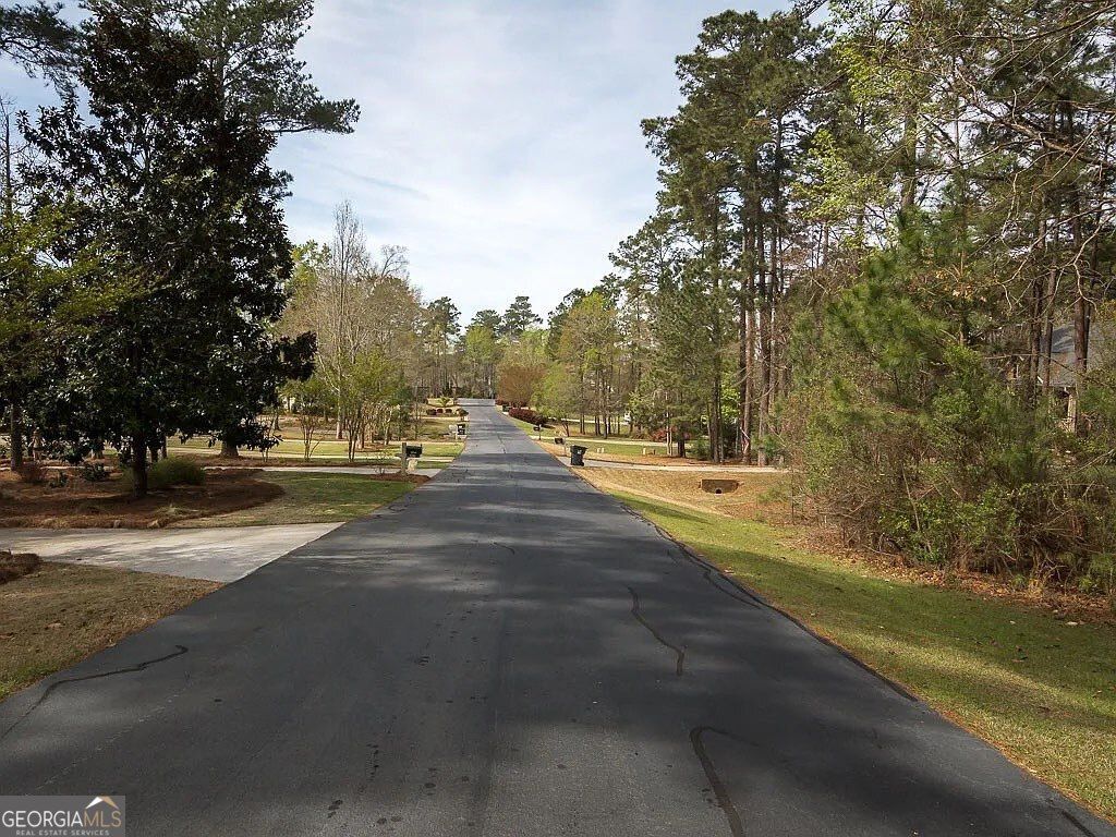 Photo of 1081 Big Water Point, Greensboro, GA 30642 (MLS # 10682758)