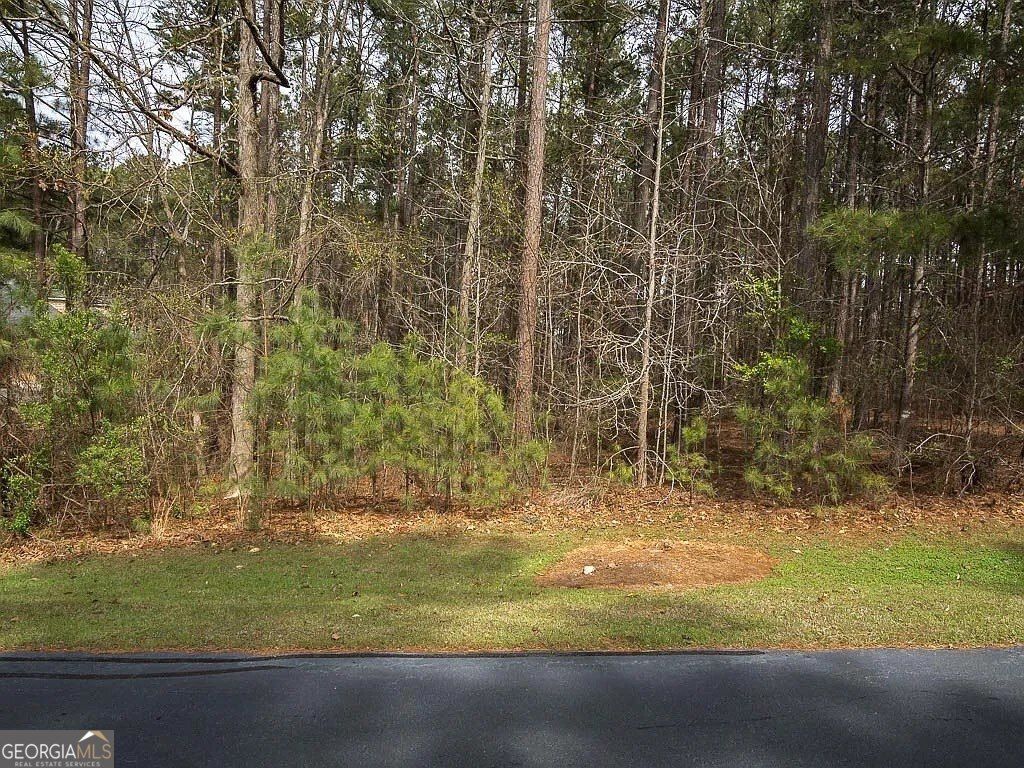 Photo of 1081 Big Water Point, Greensboro, GA 30642 (MLS # 10682758)