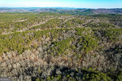 Unimproved Land in Fairmount GA 176 ACRES on Arnold Road Rd.jpg