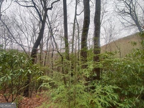 LOT 17 Ridgepole DR Sky Valley GA 30537