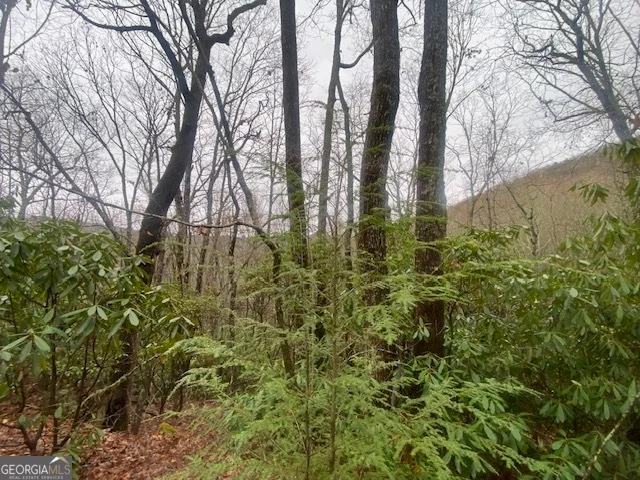 LOT 17 Ridgepole Drive, Sky Valley, GA, 30537