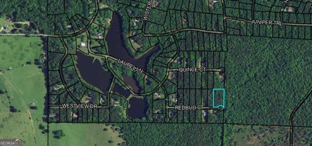 Photo of 1411 Redbud Court, Waverly Hall, GA 31831 (MLS # 10669843)