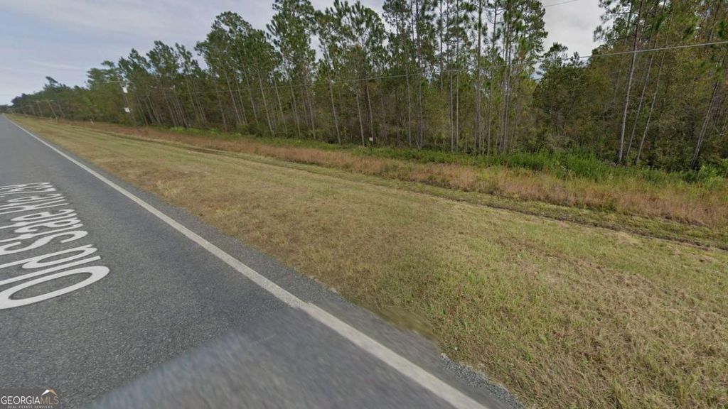 Photo of 27 Old State Rt 259, Waynesville, GA 31566 (MLS # 10715586)