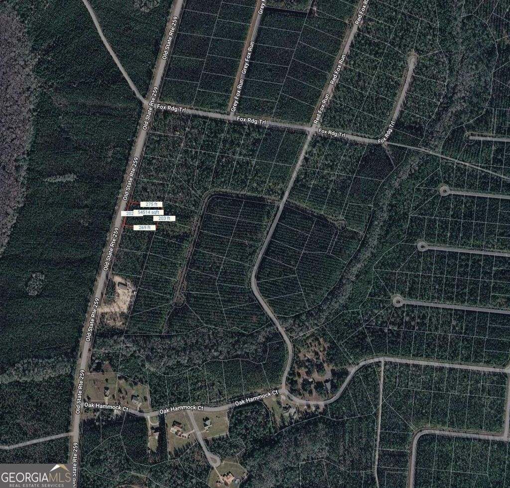 Photo of 27 Old State Rt 259, Waynesville, GA 31566 (MLS # 10715586)